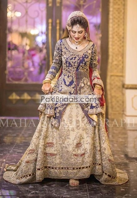 Pakistani bridal dress 2020 with multi embroidered work 