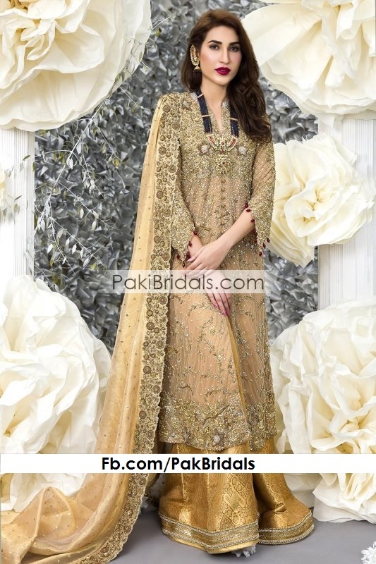 Latest Pakistani Dresses for Wedding Party Online #PN55 | Latest pakistani  dresses, Pakistani outfits, Party wear dresses