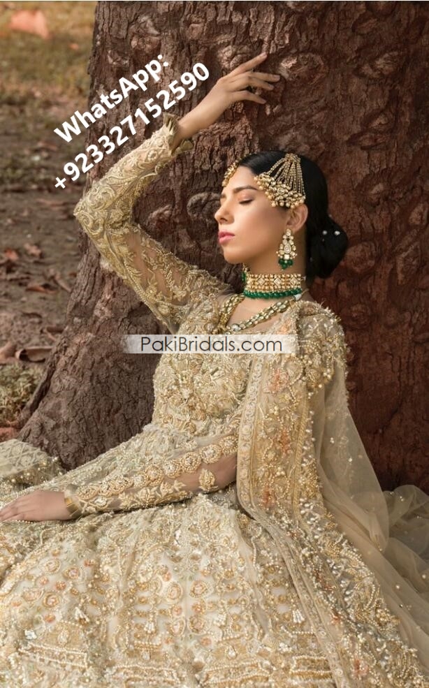 Designer Pakistani Wedding Walima Gown with Embroidered Long trail -