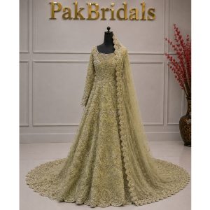 tail bridal maxi dress cover
